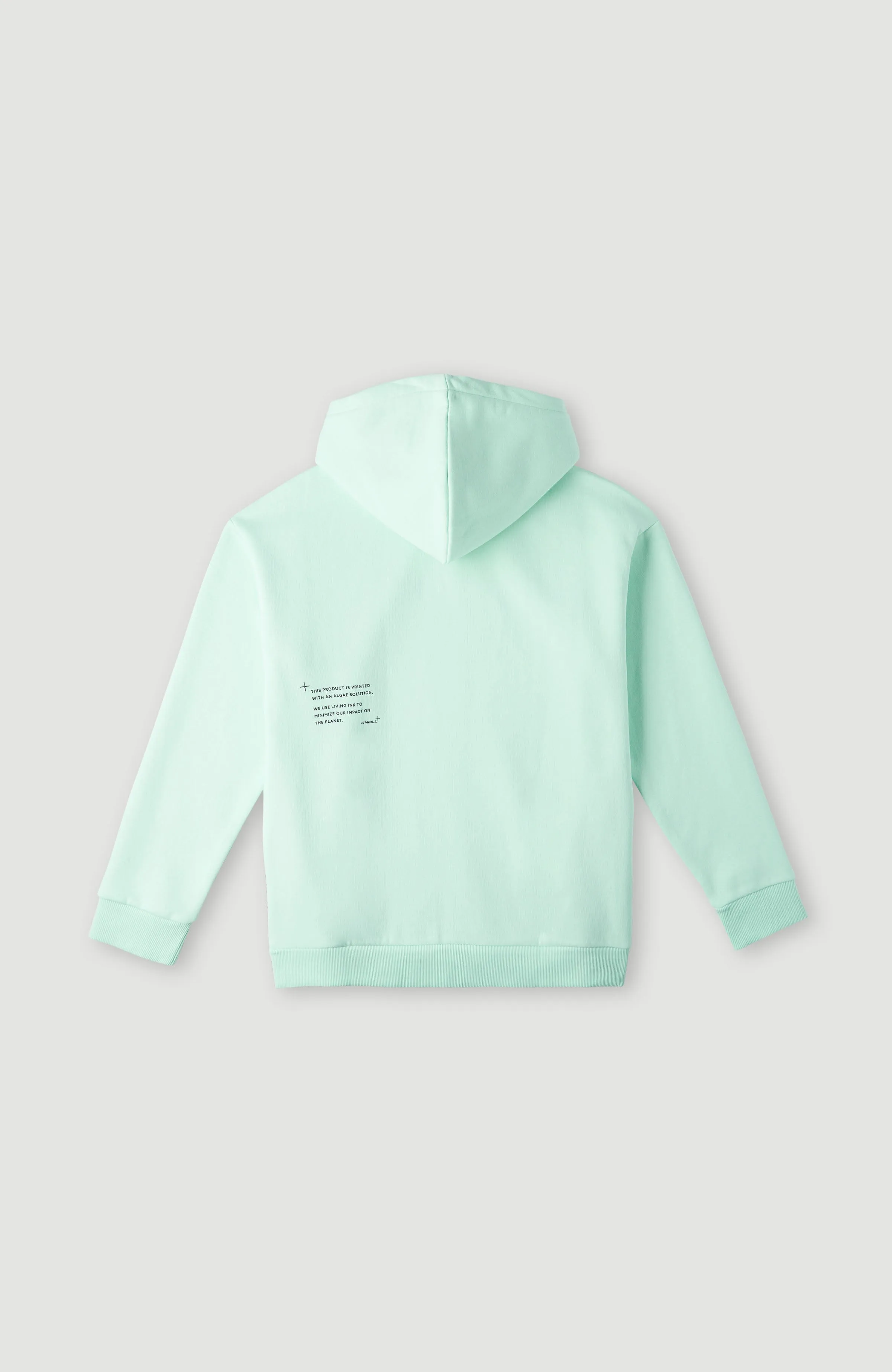 Future Surf Hoodie | Beach Glass